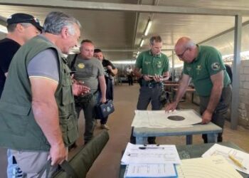 Cinghiali, 570 cacciatori abilitati dalla Regione Siciliana per il contenimento