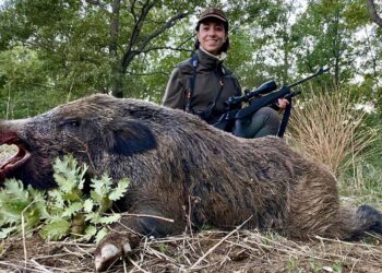 Caccia al Cinghiale. “Il dono del sole”