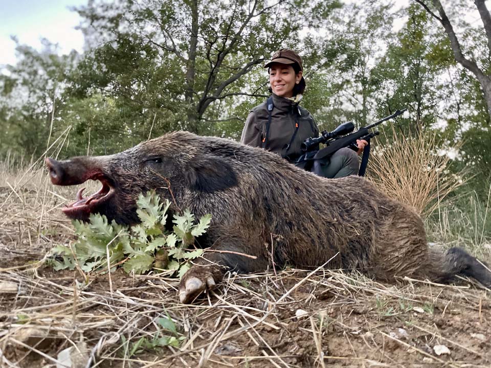 caccia al cinghiale