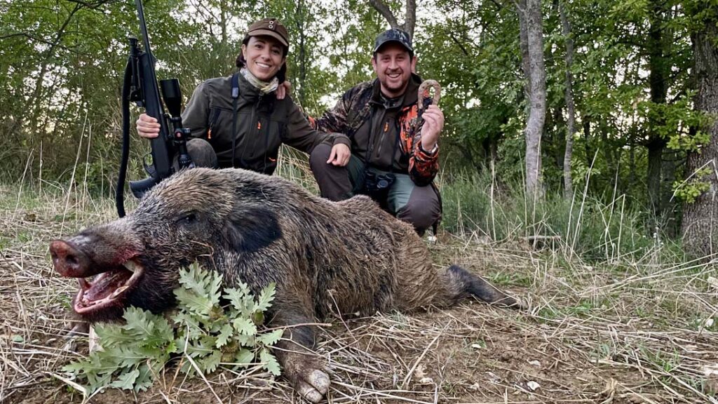 caccia al cinghiale