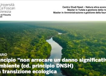 Università Ca’ Foscari, seminario sul principio DNSH: non arrecare danni significativi all’ambiente nella transizione ecologica