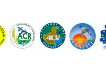 ACR-ACV-FCR-CONFAVI: “Bensvegliati ai dirigenti venatori della cabina di regia del Veneto”