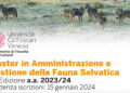Ca’ Foscari, Master in Amministrazione e Gestione della Fauna Selvatica: nuovo bando 2023-2024