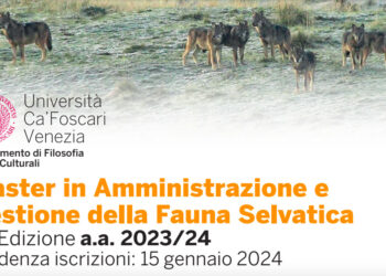 Ca’ Foscari, Master in Amministrazione e Gestione della Fauna Selvatica: nuovo bando 2023-2024