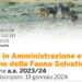 Ca’ Foscari, Master in Amministrazione e Gestione della Fauna Selvatica: nuovo bando 2023-2024