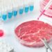 Dopo l’ok alla legge che vieta la carne sintetica in Italia, la battaglia si sposta in Ue