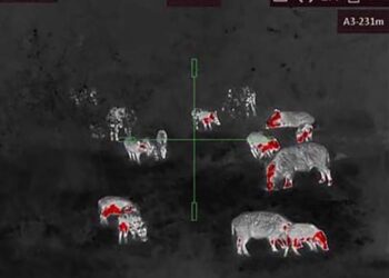 Hikmicro Thunder 2.0: ottica termica per la caccia e l’osservazione notturna