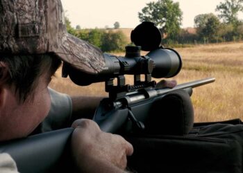 Sauer&Sohn, Minox e Liemke. Caccia al daino con la tripletta di Blaser Italia