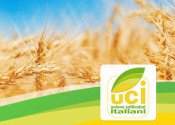 Fauna selvatica, Unione Coltivatori Italiani: “Incidenti perché manca habitat naturale”