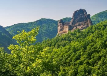 Parco dell’Antola, dalla Liguria 258mila euro per contrastare la peste suina