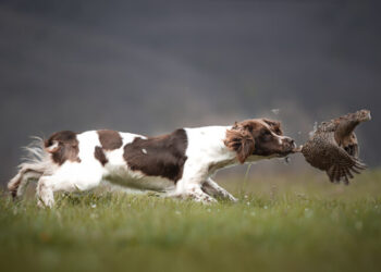 FIDC. “A caccia di scatti”: proclamati i vincitori della prima edizione