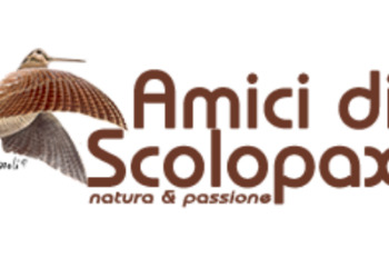 L’appello di Amici di Scolopax ai cacciatori: “Meno prede sui social e più impegno nella raccolta dati”