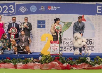 Conclusa l’edizione 2023 dell’ENCI Winner, un evento che si ricorderà