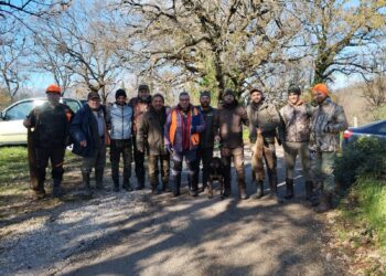 Corsa la 16ª Coppa Italia per cani da seguita su volpe: alta cinofilia a Salerno