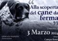 A Bologna una giornata dedicata alla scoperta del cane da ferma