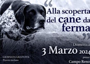 A Bologna una giornata dedicata alla scoperta del cane da ferma