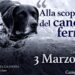 A Bologna una giornata dedicata alla scoperta del cane da ferma