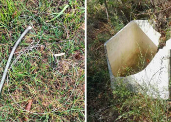 Macerata, controlli delle guardie venatorie della Federcaccia nei comuni di Petriolo e San Severino Marche