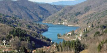 Allarme cinghiali in Valle Bormida: in due anni sono aumentati del 200%