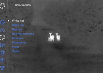 Pulsar Thermion 2 XQ35 Pro: vedere oltre il buio..