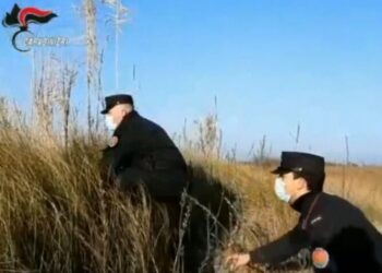 Operazione antibracconaggio nel Delta del Po: denunciate 9 persone individuate coi droni