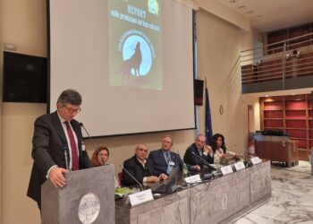 L’impegno della politica è quello di far ripartire presto il Piano Lupo