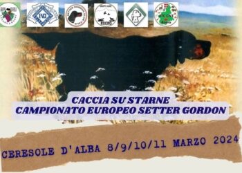 Caccia su starne, a Ceresole d’Alba (CN) il Campionato Europeo Setter Gordon