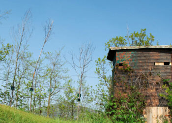 Toscana, si avvicina la scadenza annuale per il rinnovo degli appostamenti fissi