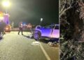 Cinghiali: Cia Puglia, incidente mortale a Ginosa. Ognuno ne risponda nelle sedi competenti