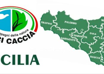 Caccia in Sicilia, il TAR respinge l’ennesima istanza animalista sul calendario