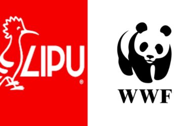 FIDC: “Ennesima sconfitta per gli anticaccia, nessun obbligo di VINCA per i calendari venatori”