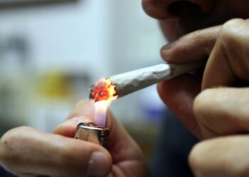 CGA Sicilia: “Non si può negare il porto d’armi per uno spinello”