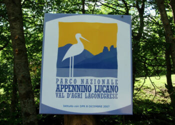 Al Parco dell’Appennino Lucano si parla di gestione del cinghiale in emergenza PSA