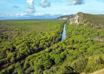 Cacciatori e pescatori dicono no all’ampliamento del Parco della Maremma