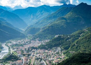 Troppi cinghiali in Valsesia, l’Unione Montana: “No alle soluzioni fai da te”