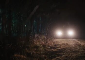 Andò a caccia di notte usando i fari dell’auto per abbagliare la selvaggina: licenza restituita dopo 10 anni