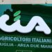 Emergenza cinghiali in Puglia, CIA Due Mari: “Si attui subito piano contenimento”