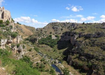 Basilicata, nel Parco della Murgia Materana verrà intensificato il controllo dei cinghiali