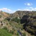 Basilicata, nel Parco della Murgia Materana verrà intensificato il controllo dei cinghiali