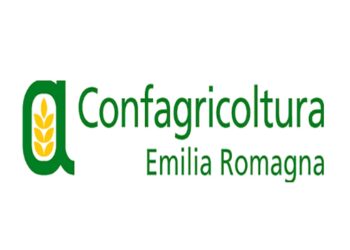 Peste suina, Confagricoltura Emilia Romagna scrive alla Regione: “Impossibile applicare l’ordinanza di contenimento”
