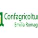 Peste suina, Confagricoltura Emilia Romagna scrive alla Regione: “Impossibile applicare l’ordinanza di contenimento”