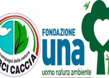 Toscana, partito il progetto di monitoraggio dei rapaci curato da Arci Caccia e Fondazione UNA