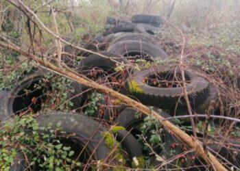 San Severino Marche (MC), i cacciatori scoprono una discarica abusiva di pneumatici