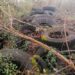 San Severino Marche (MC), i cacciatori scoprono una discarica abusiva di pneumatici