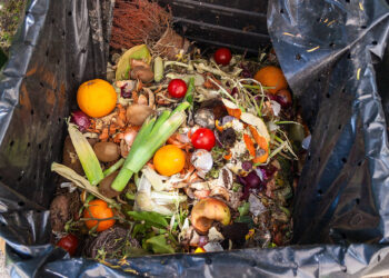 Lombardia, spreco alimentare: anche la caccia lo contrasta