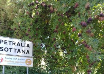 A Petralia Sottana (PA) il primo Centro di raccolta selvaggina della Sicilia