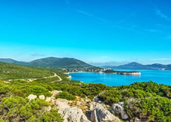 Sardegna, via libera alle battute di caccia al cinghiale nel Parco di Porto Conte