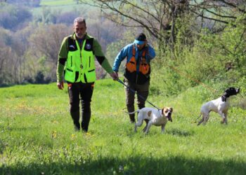 A Todi (PG) la prima speciale pointer del Trofeo Centro Italia 2024