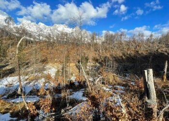 La Provincia Belluno vuole ripristinare due importanti aree umide