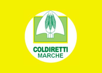 Coldiretti Marche chiede lo stato di emergenza sugli ungulati